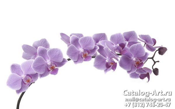 картинки для фотопечати на потолках, идеи, фото, образцы - Потолки с фотопечатью - Розовые орхидеи 101